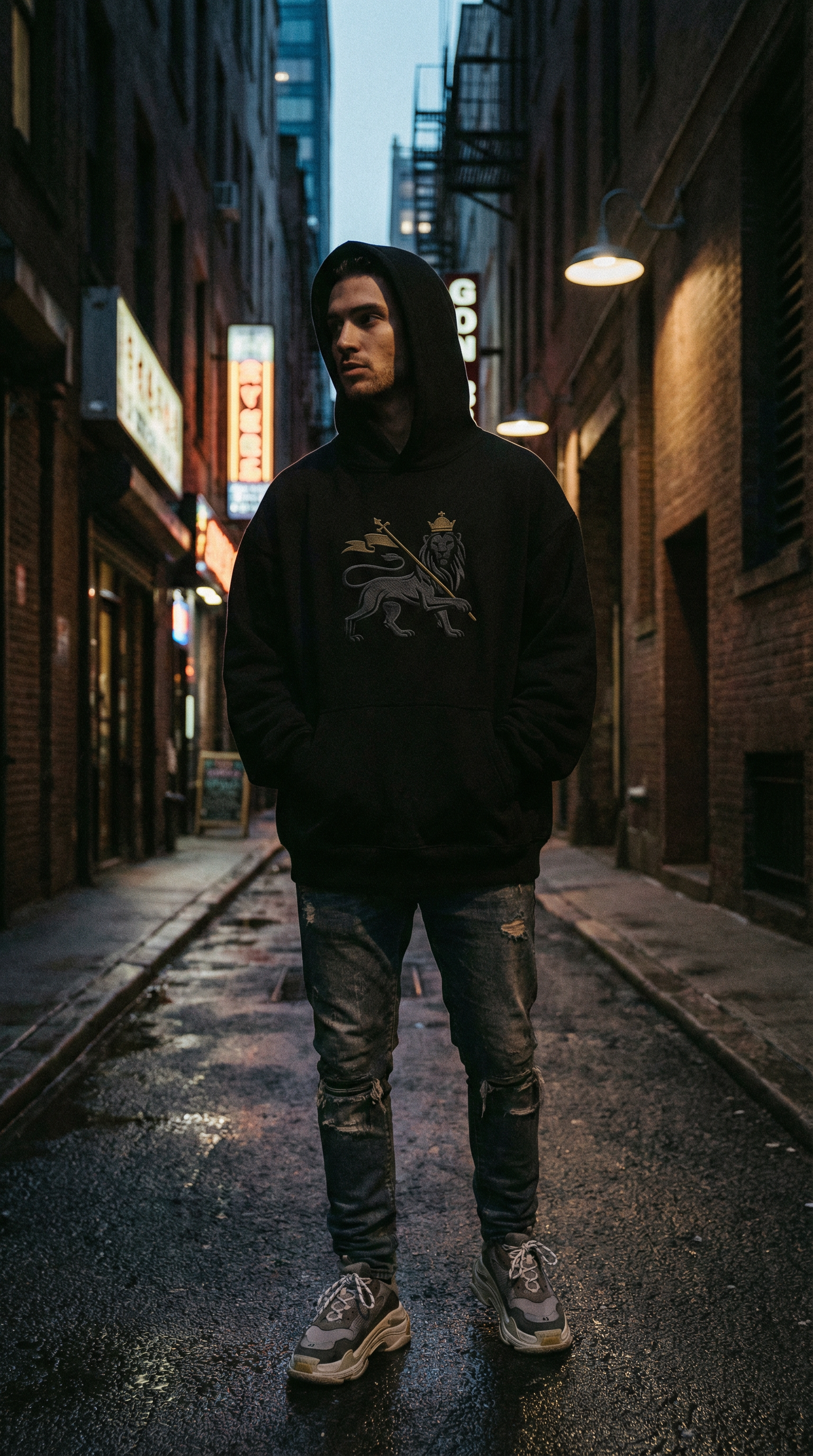 Lion of Judah Hoodie